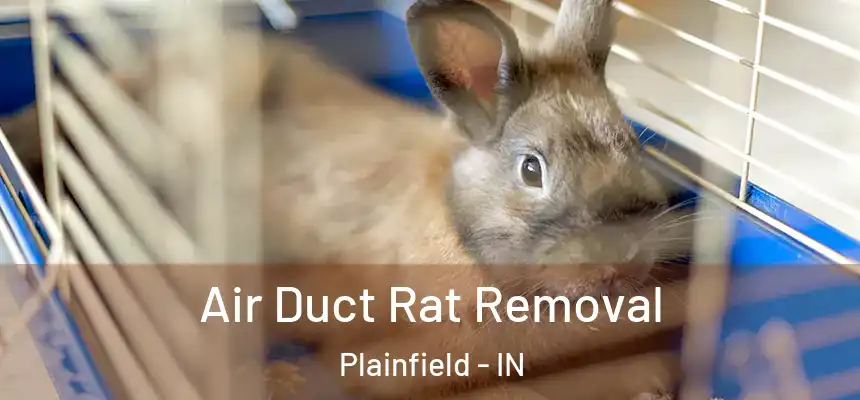 Air Duct Rat Removal Plainfield - IN