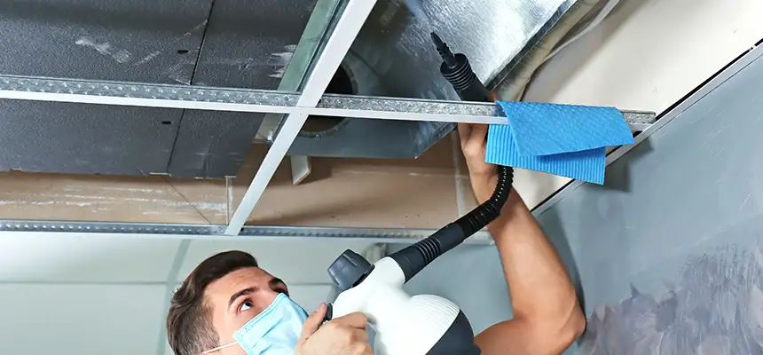 Our Air Duct Rodent Removal Services in Plainfield, IN