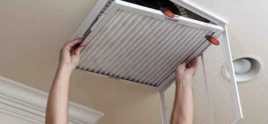 Our Insect Removal from Air Ducts Services in Plainfield, IN