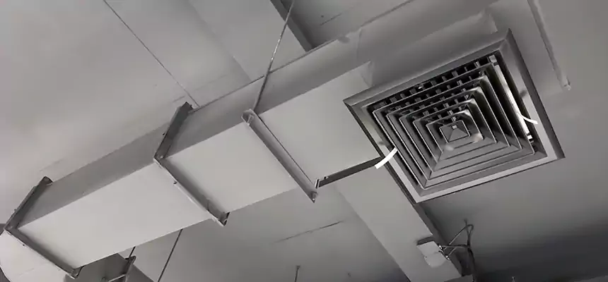 Our Pest Removal From Ducts Services in Plainfield, IN