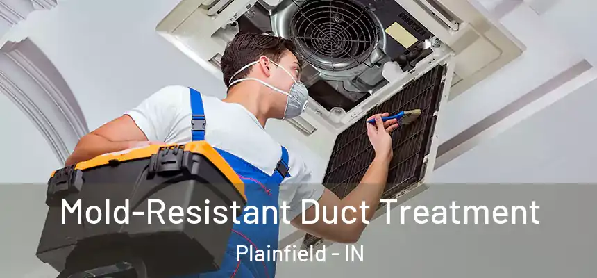  Mold-Resistant Duct Treatment Plainfield - IN