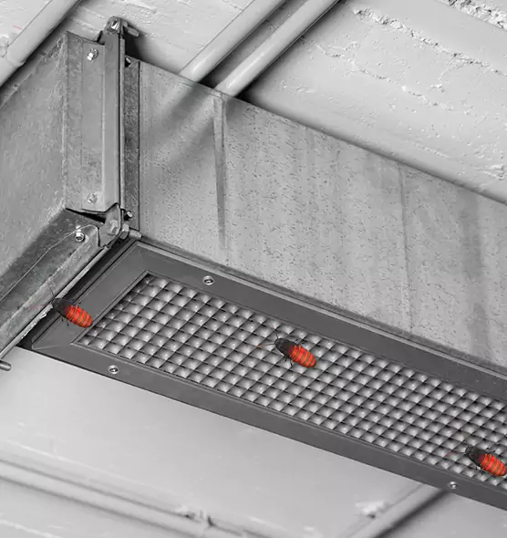 Affordable Insect Removal from Air Ducts in Plainfield, IN