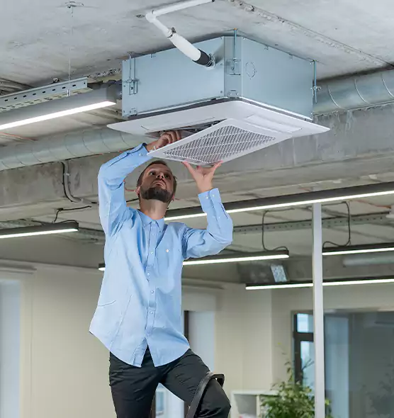 Advanced Rodent Droppings In Vents in Plainfield, IN