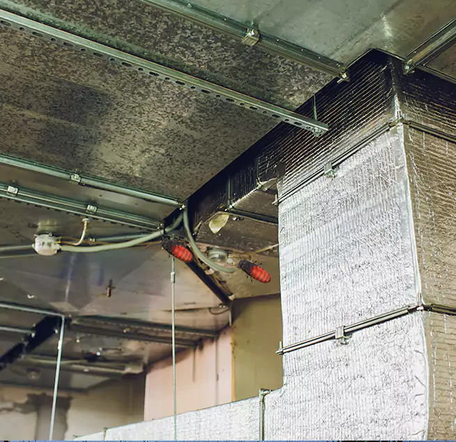 Why Homeowners & Businesses Trust Us in Plainfield, IN?