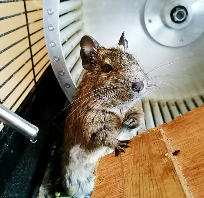 Why Homeowners & Businesses Trust Us Plainfield, IN