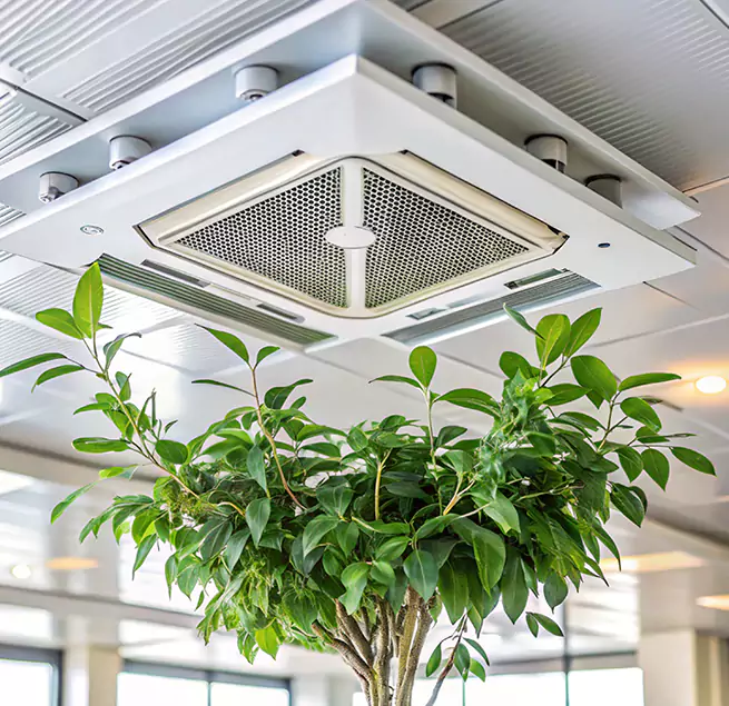 Why Homeowners & Businesses Trust Us in Plainfield, IN?